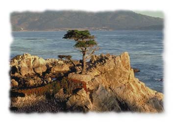 Pebble Beach