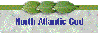 North Atlantic Cod